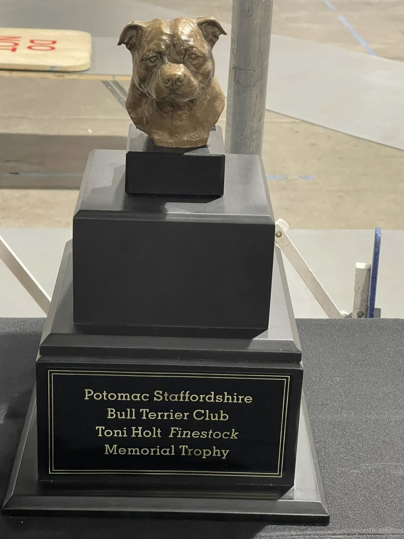 Toni Holt Finestock Memorial Trophy